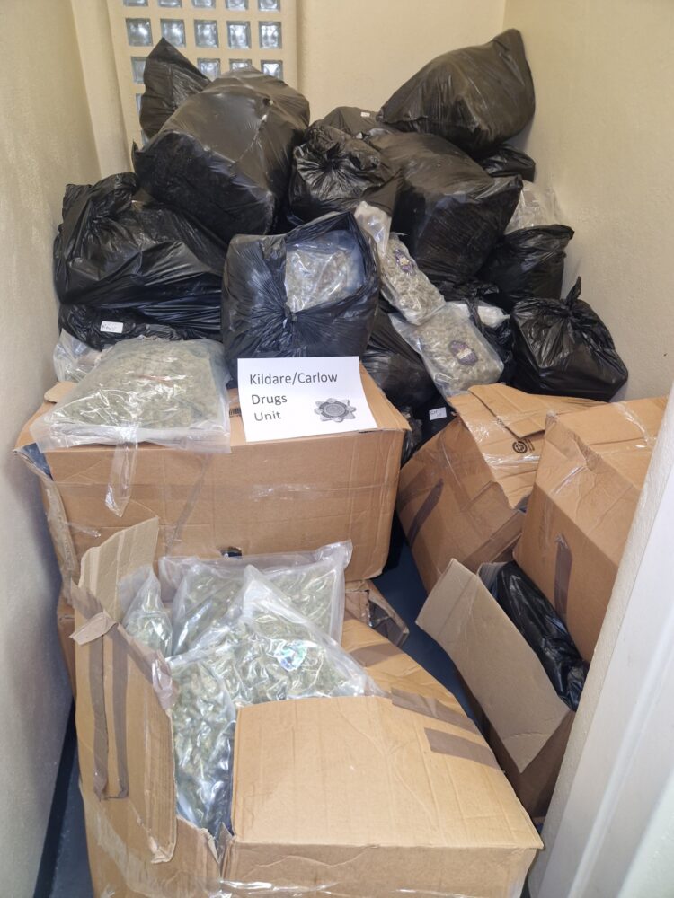Gardaí from Kildare/Carlow Division seize €7million worth of drugs