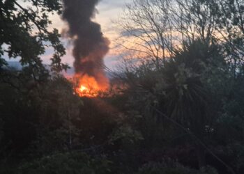 Blaze tackled in county Carlow overnight