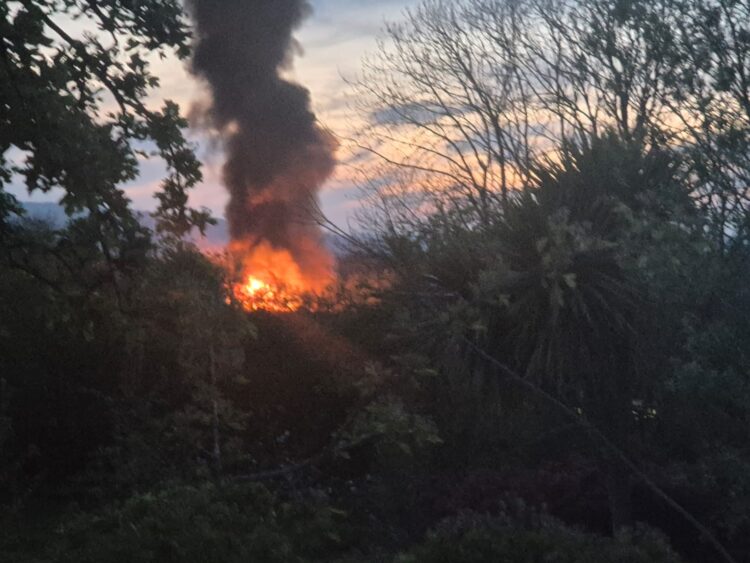 Blaze tackled in county Carlow overnight