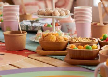 Carlow County Council Launches Reusable “Party Pack” Pilot Scheme For Local Events