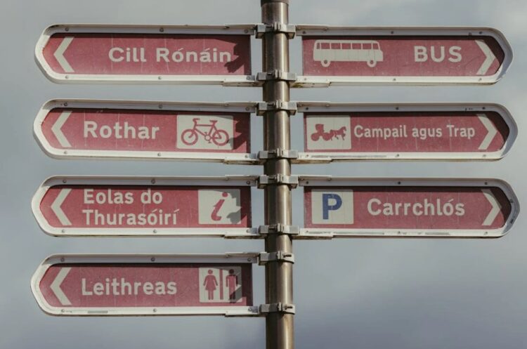 “We shouldn’t be expected as Irish language speakers to accept it” says Kilkenny Councillor Seán Ó hArgáin in plea for correct use of the language on public signage says