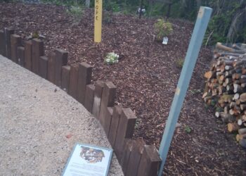 County Carlow community biodiversity garden the latest to be hit by vandalism