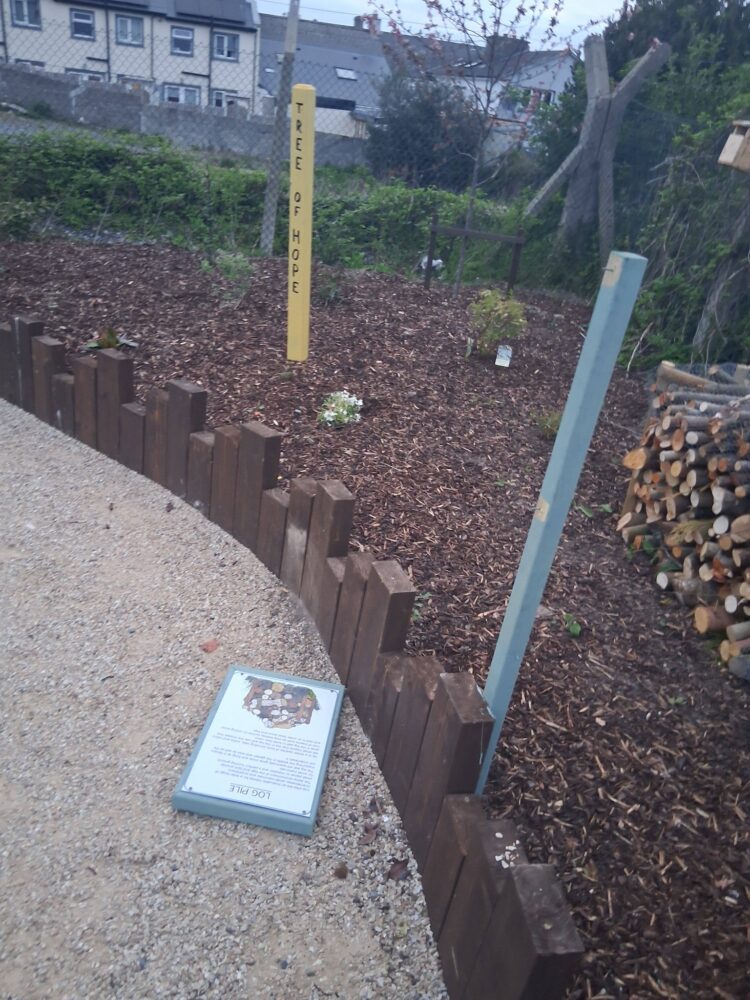 County Carlow community biodiversity garden the latest to be hit by vandalism