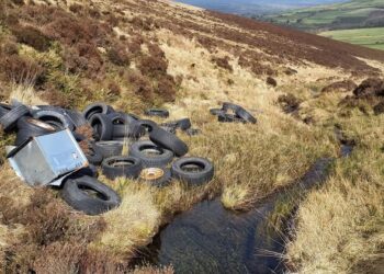 Carlow and Kilkenny county councils warn against illegal dumping