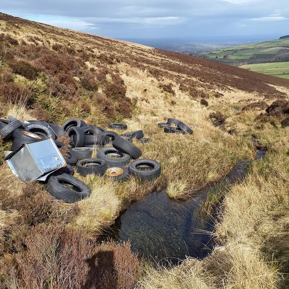Carlow and Kilkenny county councils warn against illegal dumping