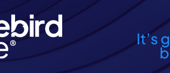 Finance Manager at Bluebird Care