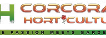 Experienced Landscape Gardener/Horticulturist