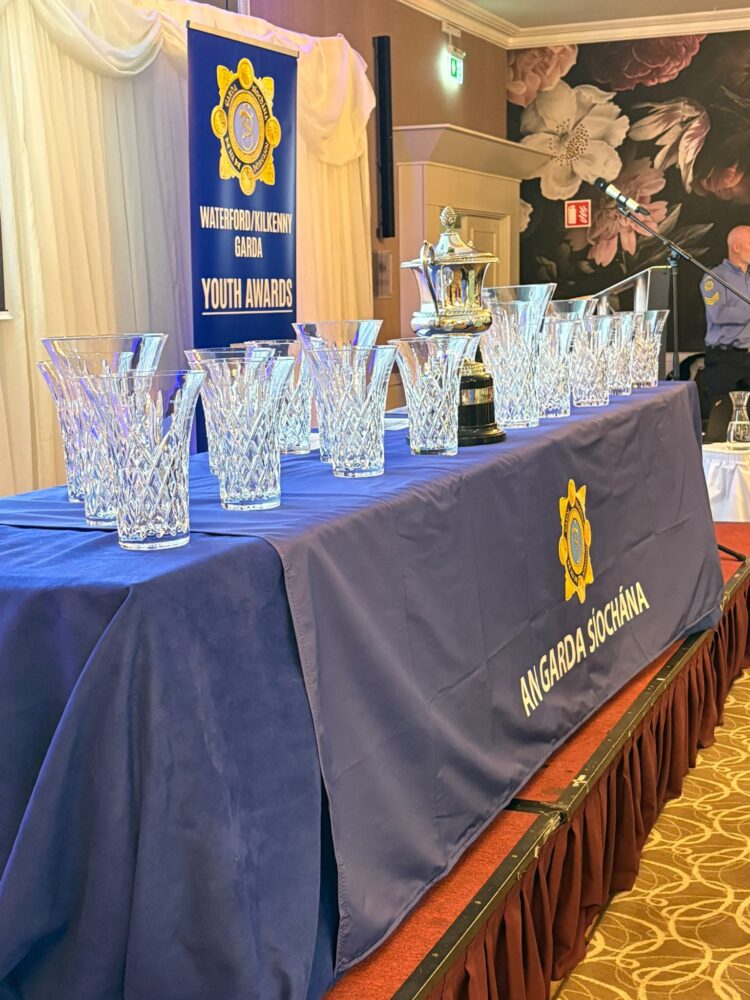 Garda Youth Awards highlight positive impact of young people across the region