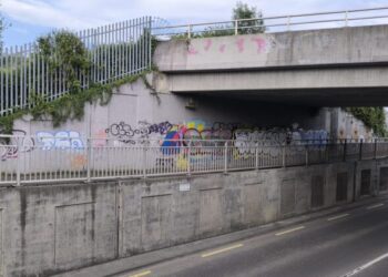 Carlow Councillor Andrea Dalton warns vandalism is diverting funds from town improvements