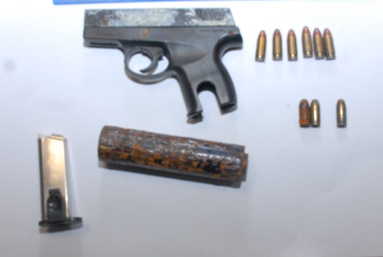 Two people arrested following recovery of firearms, ammunition and replica grenade in county Wicklow