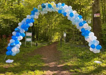 Popular bluebell walk returns in South Kilkenny to raise funds for CRY