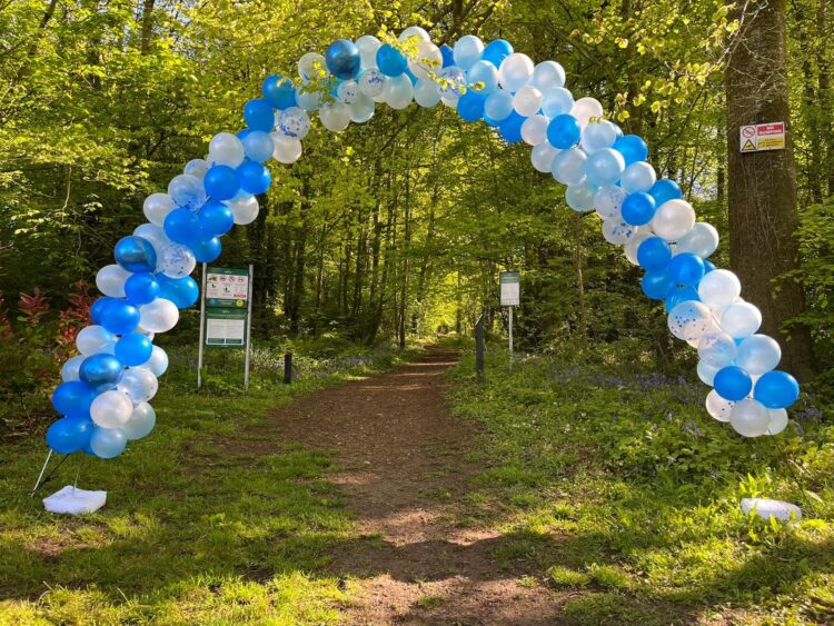 Popular bluebell walk returns in South Kilkenny to raise funds for CRY