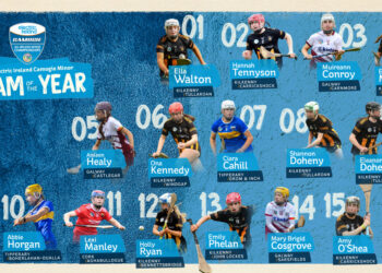 Nine Kilkenny Players named in Team of the Year