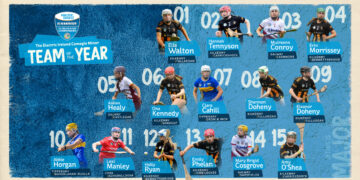 Nine Kilkenny Players named in Team of the Year
