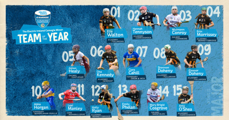 Nine Kilkenny Players named in Team of the Year
