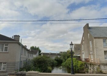 Carlow Councillor Fintan Phelan outlines concerns re overgrown vegetation along riverbank at Burrin Bridge