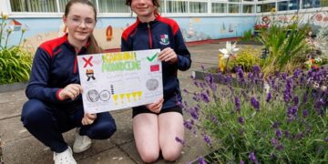 Carlow students win national carbon monoxide safety poster competition