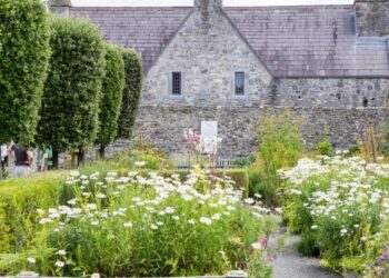 Kilkenny’s Rothe House hosts annual garden plant sale tomorrow