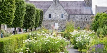 Kilkenny’s Rothe House hosts annual garden plant sale tomorrow