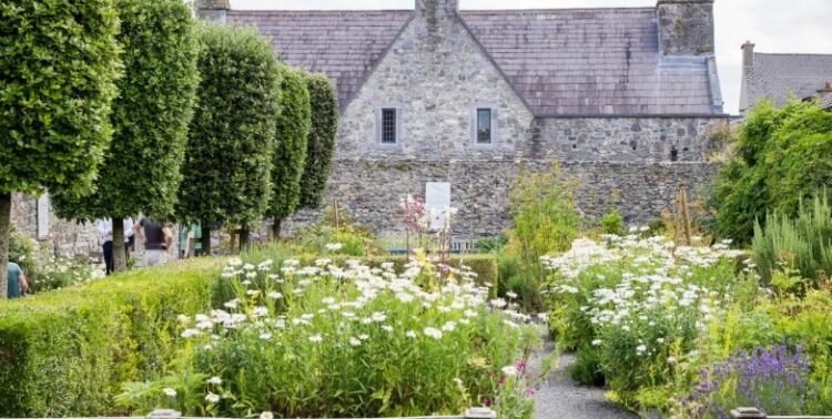 Kilkenny’s Rothe House hosts annual garden plant sale tomorrow