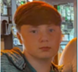 Gardai seek public’s help in tracing missing teen from Co Carlow