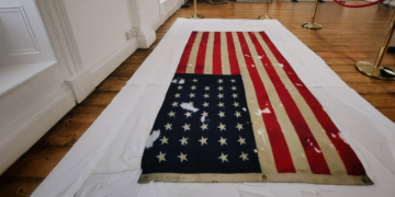 Rare Catalpa Flag to go on public display in Kilkenny