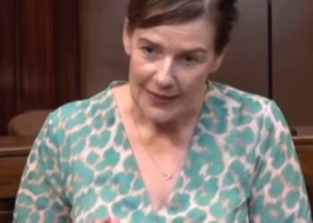 Carlow Kilkenny TD Catherine Callaghan calls for fairer salary system for Irish teachers returning from working abroad