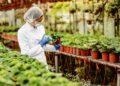 SETU launches new programme in Horticulture with Kildalton College