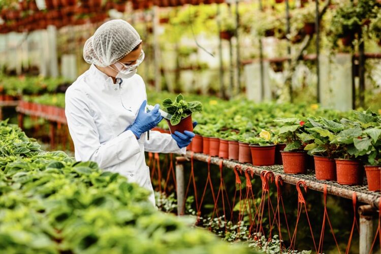 SETU launches new programme in Horticulture with Kildalton College