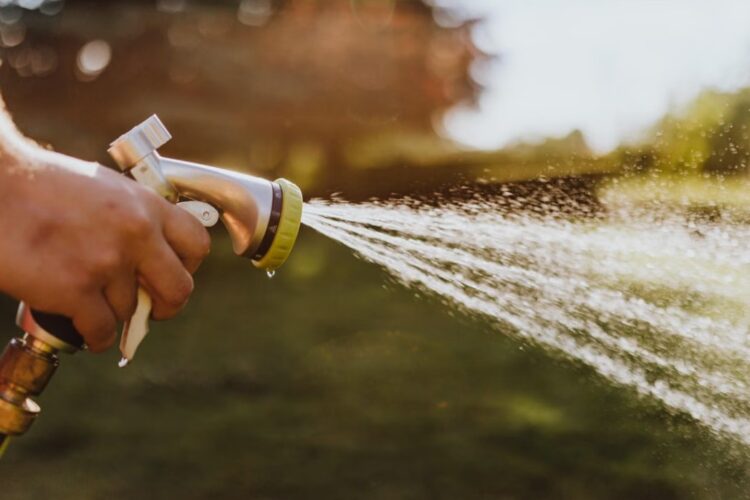 Call for all in Carlow and Kilkenny to conserve water and check in on friends and family amid heat spell