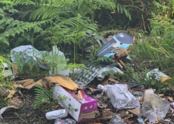 Councillor Pat Fitzpatrick outlines disappointment on discovery of rubbish dumped in scenic county Kilkenny spot