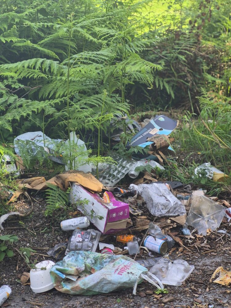 Councillor Pat Fitzpatrick outlines disappointment on discovery of rubbish dumped in scenic county Kilkenny spot