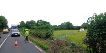 Emergency services at crash scene in county Carlow