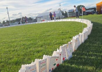 Organisers appeal for people to turn out and support the Relay for Life in Kilkenny as hundreds take part