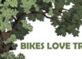 Callan residents hoping for minimal tree loss during pavement works