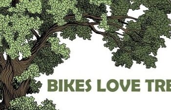 Callan residents hoping for minimal tree loss during pavement works
