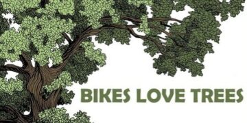Callan residents hoping for minimal tree loss during pavement works