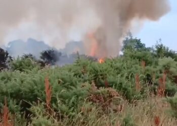 Fire crews deal with fires for second night in a row on Waterford/Kilkenny border