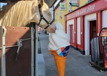 County Carlow community breathes sigh of relief as long established business issues an update