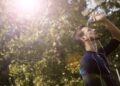 Carlow and Kilkenny among 12 counties to fall under Status Yellow high temperature warning