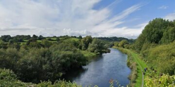 Cattle missing on Carlow Kilkenny border