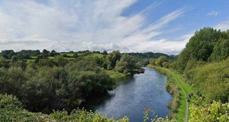 Cattle missing on Carlow Kilkenny border