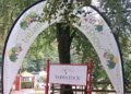 Woodland Show Returns to Inistioge with Expanded Family-Friendly Lineup