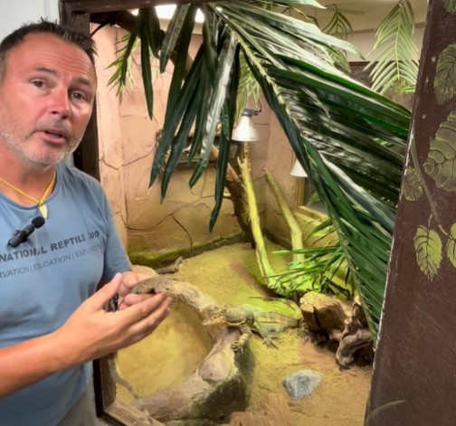 National Reptile Zoo in Kilkenny marks World Lizard Day with some special arrivals