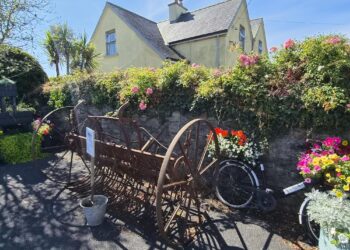 Tullahought: South Kilkenny’s Tidy Towns standard bearer