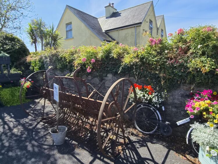 Tullahought: South Kilkenny’s Tidy Towns standard bearer