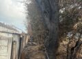 A number of houses were damaged in the Willow Park area of Carlow on Monday