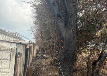 A number of houses were damaged in the Willow Park area of Carlow on Monday