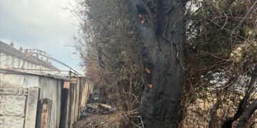 A number of houses were damaged in the Willow Park area of Carlow on Monday