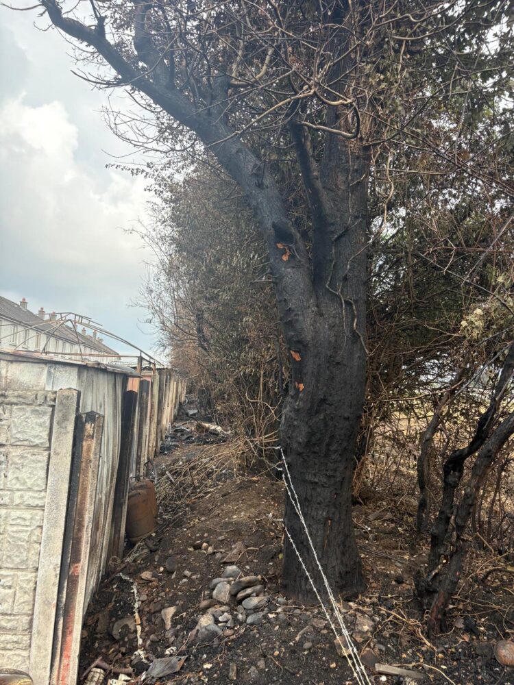 A number of houses were damaged in the Willow Park area of Carlow on Monday